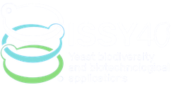 ISSY40 Logo
